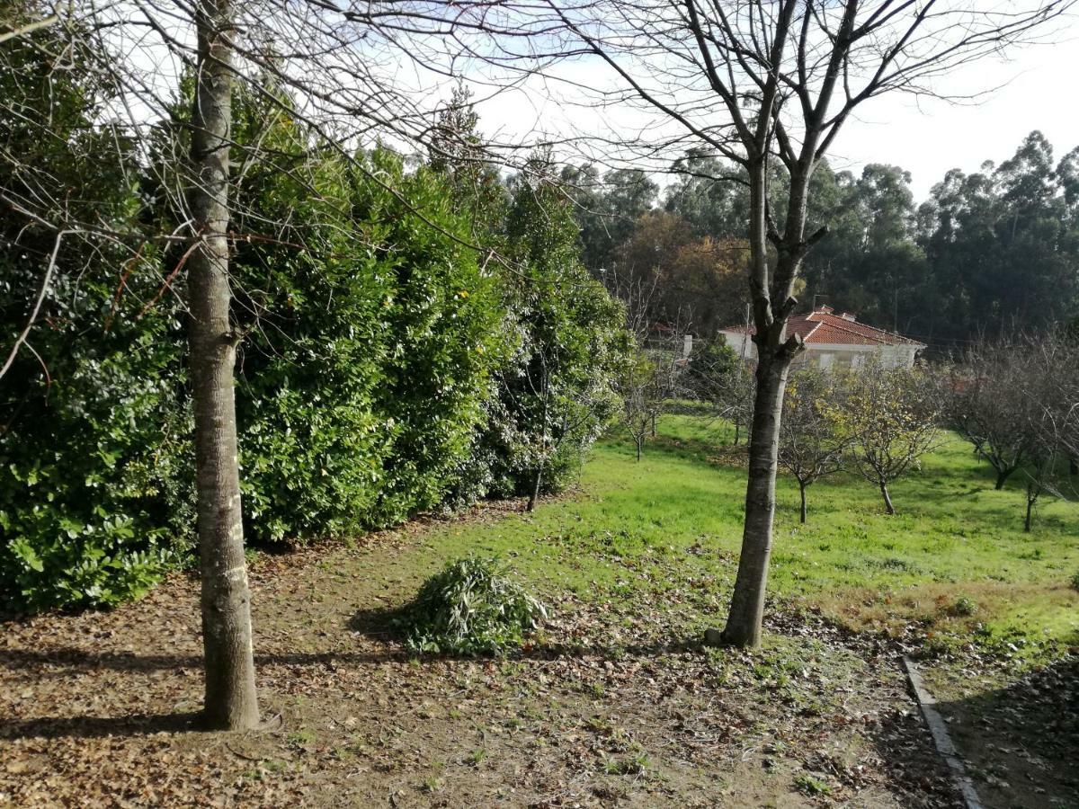 Casa Da Costeira Villa Figueiro Kültér fotó